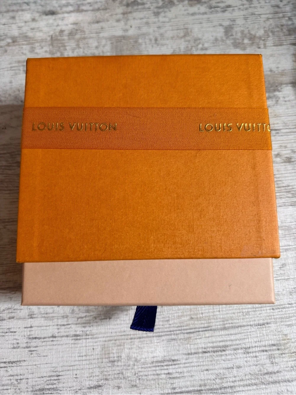 Louis Vuitton authentic louis